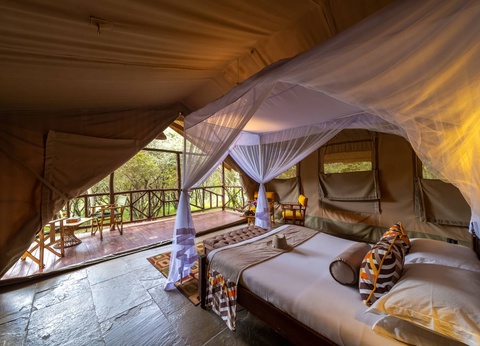 Circuit L'âme sauvage : voyage entre Kenya et Tanzanie - 19