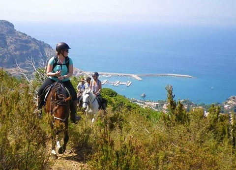 Camping Rais Gerbi, 4* - 50