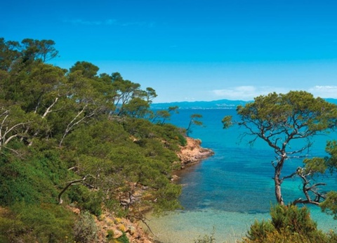 Camping Le Pansard, 4* - 33