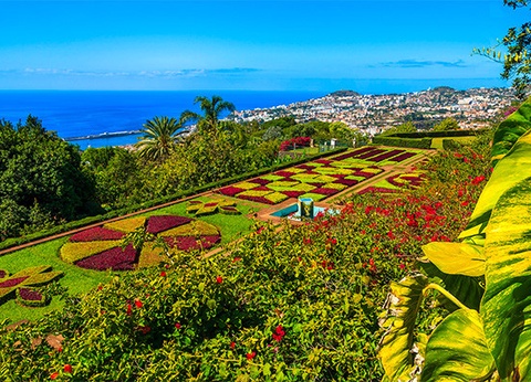 Circuit Madère Authentique : entre falaises et levadas **** - 6