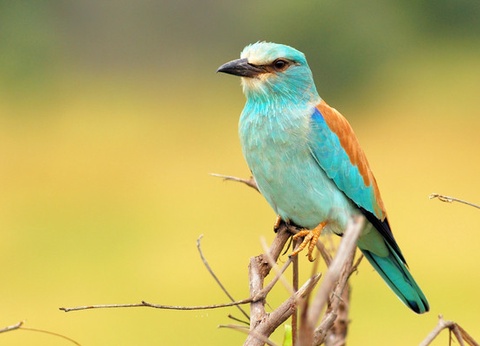 Circuit A la découverte de l'Afrique du Sud - 8
