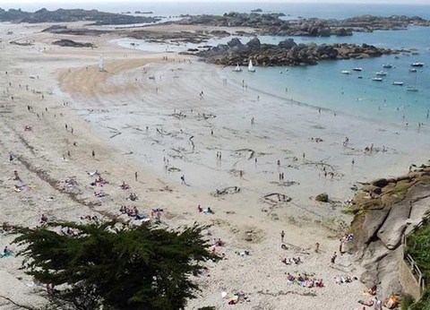 Camping West, 3* - 59