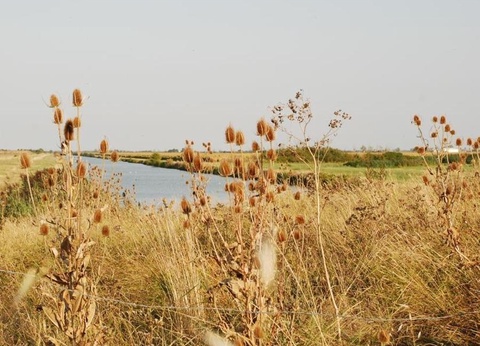 Camping Le Merval, 3* - 6