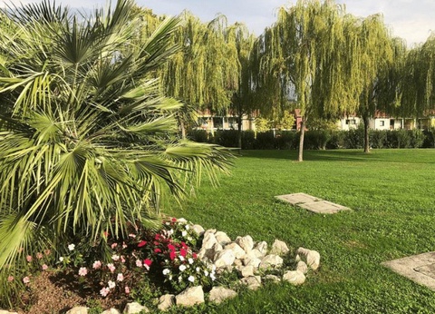 Belvedere Village - 42
