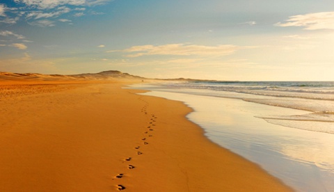 Hôtel Iberostar Club Boa Vista 5* - 7