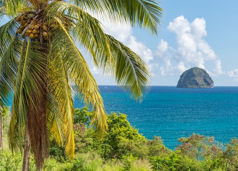 Circuit Antilles Immersion en terres créoles - 2