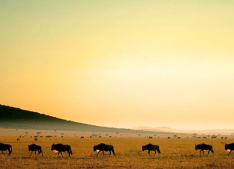 Circuit Safari Kilimandjaro 4* - 13