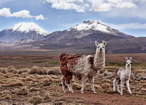 Circuit Authentique Pérou 3* - 11