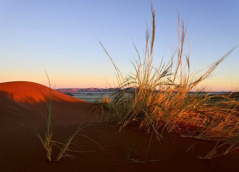 Road Trip Dunes et désert namibiens - 15