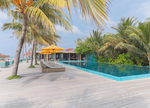 Hôtel Dhigufaru Island Resort 5* - 5