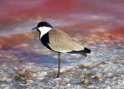 Circuit Mythes & charmes du Sénégal en privatif *** - 7