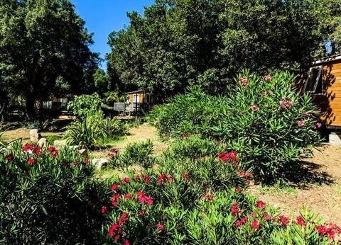 Camping Campo di Mare, 3* - 40