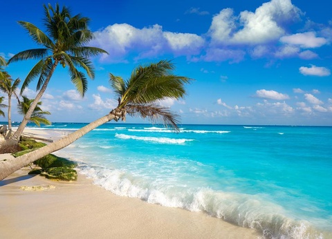 Hôtel Riu Playacar 5* - 15