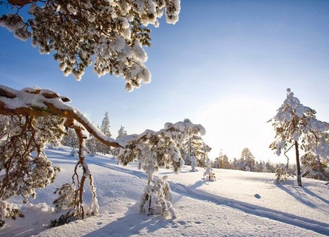 Hôtel Levi Spa (activités incluses) - 11