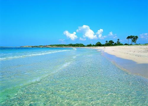 Hôtel Blau Colonia Sant Jordi Resort & Spa 4* - 15