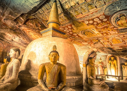 Circuit Les Incontournables du Sri Lanka et Extension Anantaya Resort & Spa 5*nl - 17