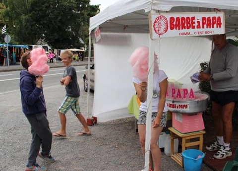 Camping de Pont Mahé, 4* - 35