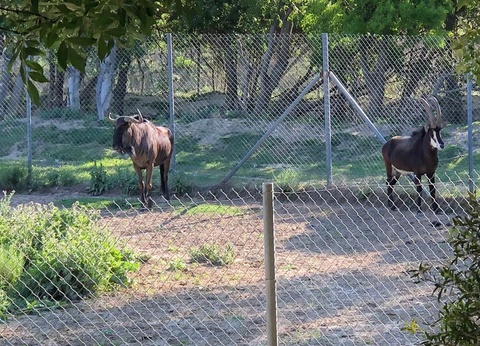 Camping La Grange Neuve, 3* - 32