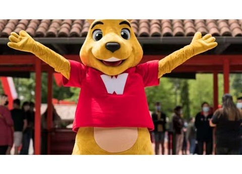 Séjour gourmand et romantique avec entrées à Walibi (à 40 minutes) - 4* - 14