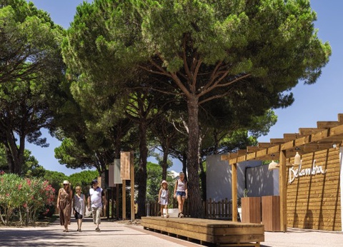 Belambra Clubs La Presqu'Ile du Ponant 4B en location - 5