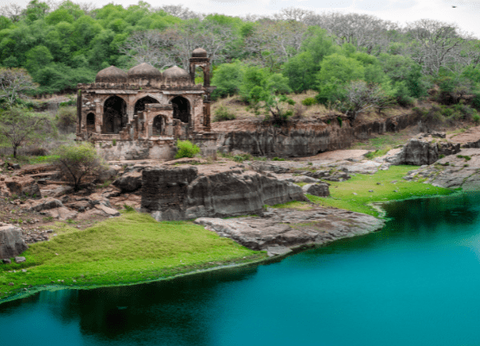 Circuit Sur la route du Taj Mahal au Tigres de Ranthambore - 24