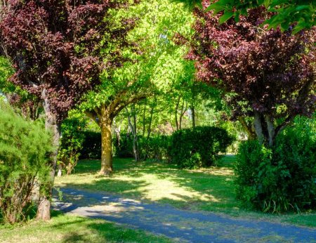 Camping Le Grand Pré 2* - 12