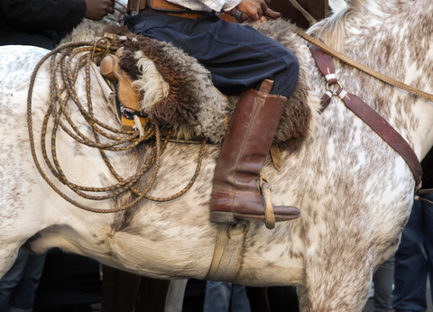 Circuit Tango, Pampa et Terre de Feu - 22