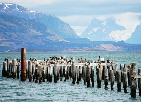 Circuit Merveilles de l'Argentine / Chili et Croisière Cap Horn - 11