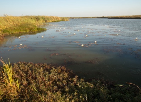 Circuit Mythes & charmes du Sénégal en privatif *** - 3