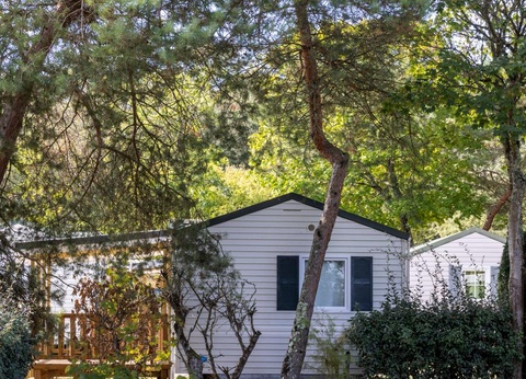 Flower Camping La Davière Plage, 4* - 31