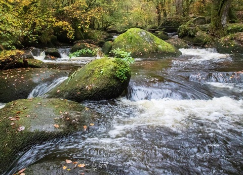 Camping La Riviere D'Argent, 3* - 17