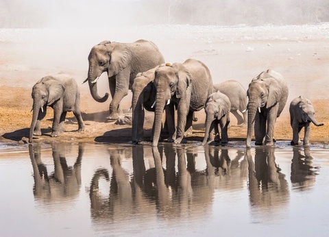 Circuit Couleurs de Namibie - 3