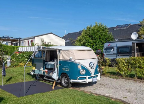 Flower Camping Vitamin, 4* - 2