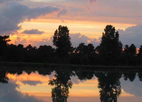 Camping Le Chêne du Lac, 3* - 26