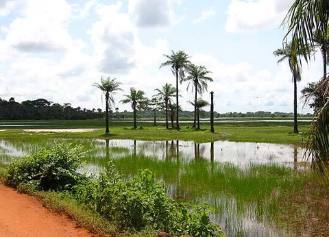 Circuit Privatif Evasion au Sénégal entre Culture et Plage - 9