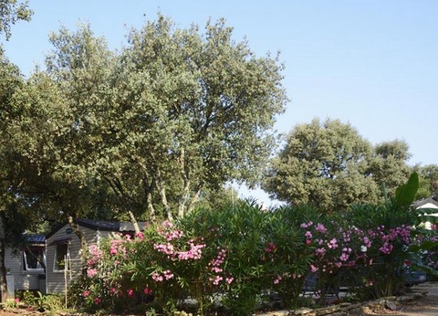 Camping le Domaine de Gajan, 4* - 16