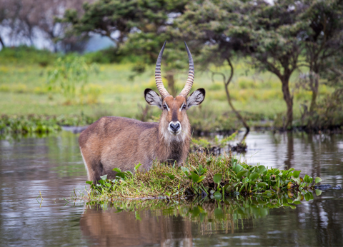 Circuit Lumières de la Savane Africaine - 4