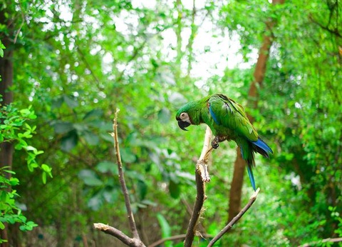 Circuit Splendeurs de l'Equateur et Séjour Galapagos - 12
