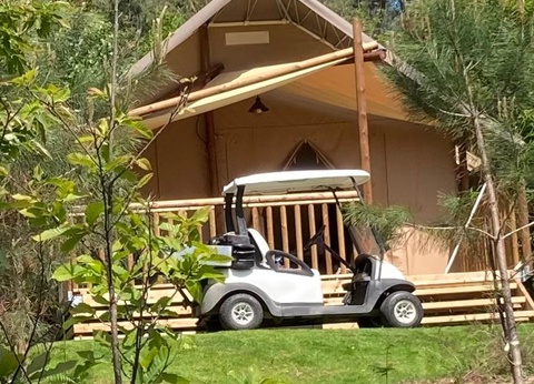 Camping Domaine des Grands Pins 4* - 13