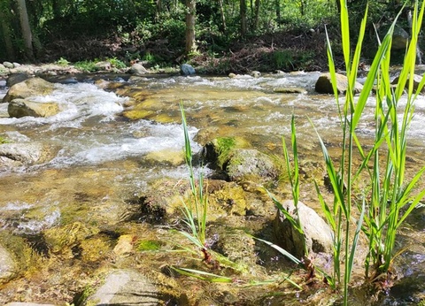 Camping L'eau Vive, 3* - 36