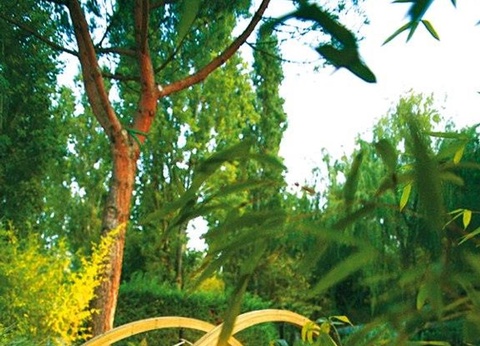 camping Village I Tre Moschetieri - 23