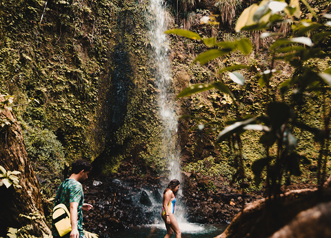 Croisière Dream Guadeloupe - 10