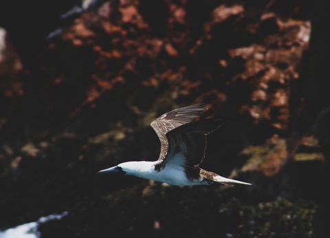 Circuit Sur la trace des Incas : de la Vallée Sacrée aux rivages de Paracas - 10