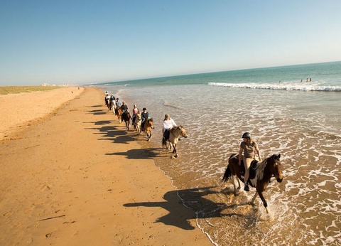 Camping L'Abri des Pins, 4* - 84