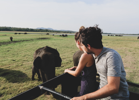 Circuit Le Royaume des Eléphants et plage en privatif - 17