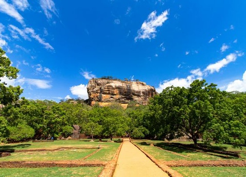 Immersion au Sri Lanka - 6
