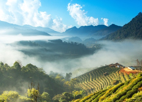 Circuit Richesses et traditions de Thaïlande + extension découverte du sud - 7