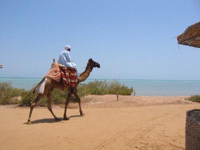 Hôtel Utopia Beach Club 4* - 9