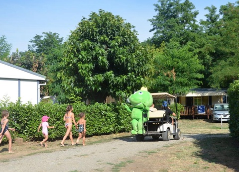 Flower Camping Les Mijeannes, 4* - 39