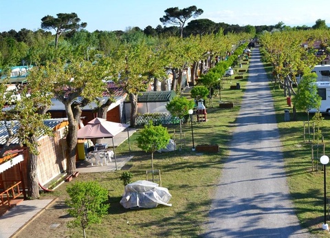 Camping Classe 3* - 46